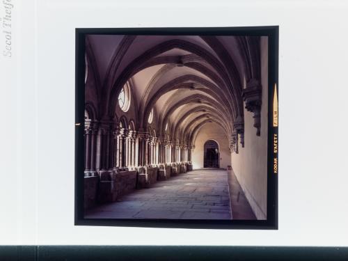 Landessammlungen Niederösterreich