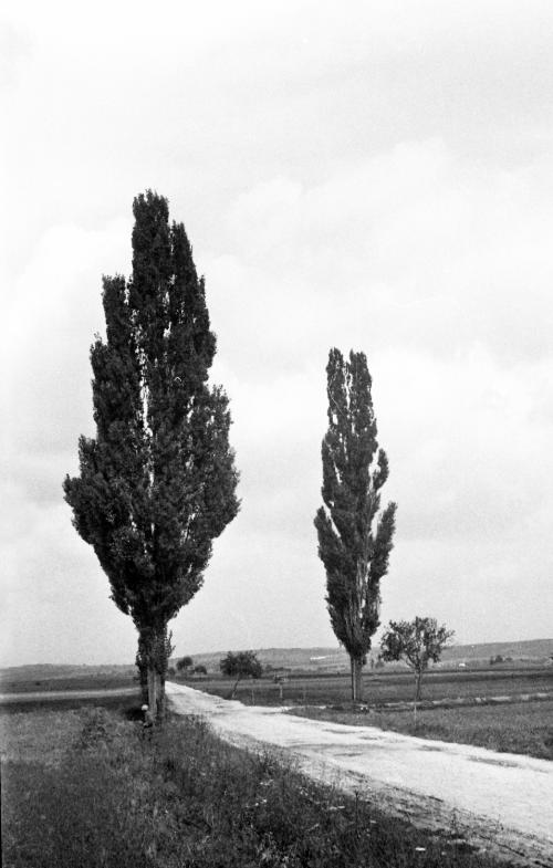 Landessammlungen Niederösterreich