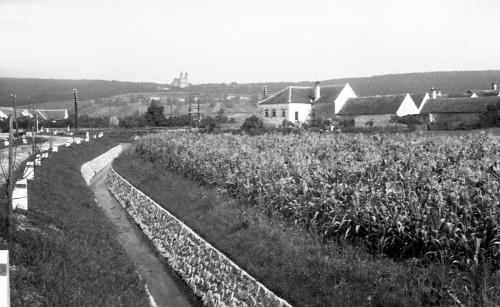 Landessammlungen Niederösterreich