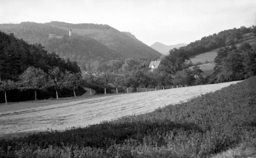 Landessammlungen Niederösterreich