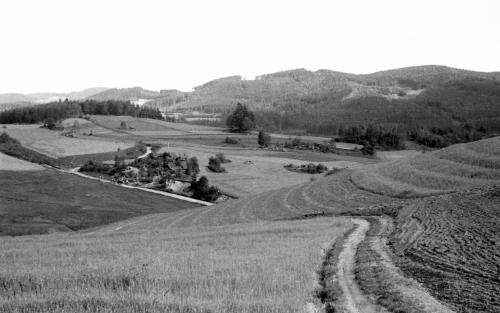 Landessammlungen Niederösterreich