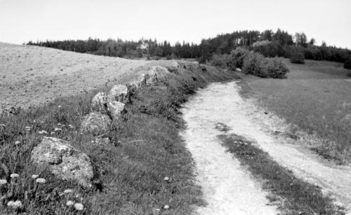 Landessammlungen Niederösterreich
