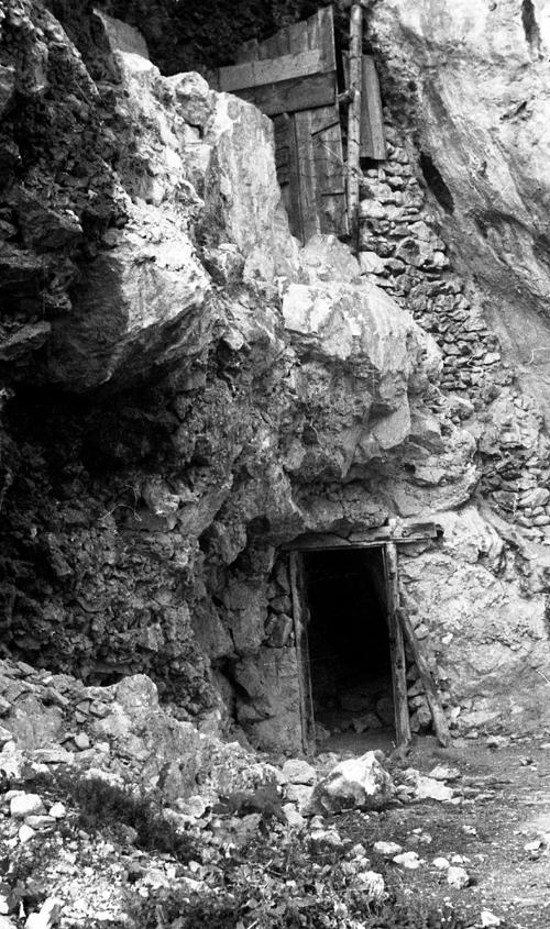 Landessammlungen Niederösterreich