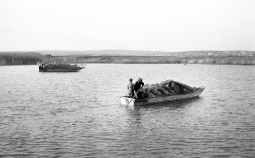 Landessammlungen Niederösterreich