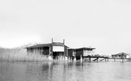 Landessammlungen Niederösterreich