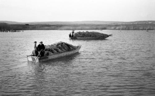 Landessammlungen Niederösterreich