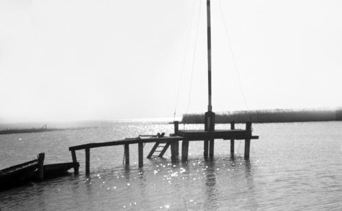 Landessammlungen Niederösterreich