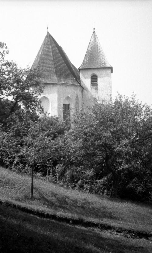 Landessammlungen Niederösterreich