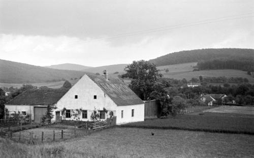 Landessammlungen Niederösterreich