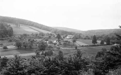 Landessammlungen Niederösterreich