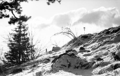 Landessammlungen Niederösterreich