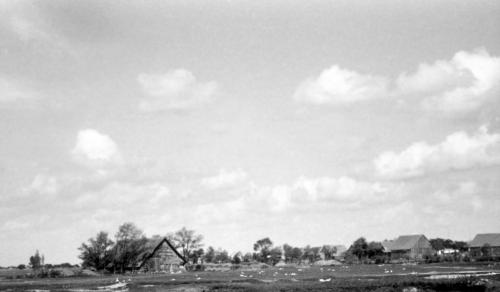 Landessammlungen Niederösterreich