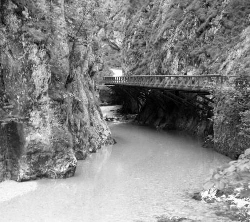 Landessammlungen Niederösterreich