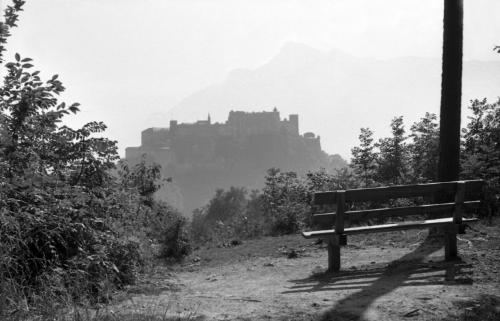 Landessammlungen Niederösterreich