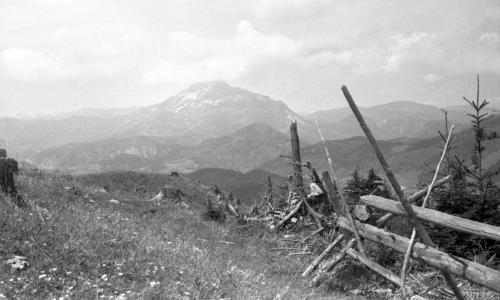 Landessammlungen Niederösterreich