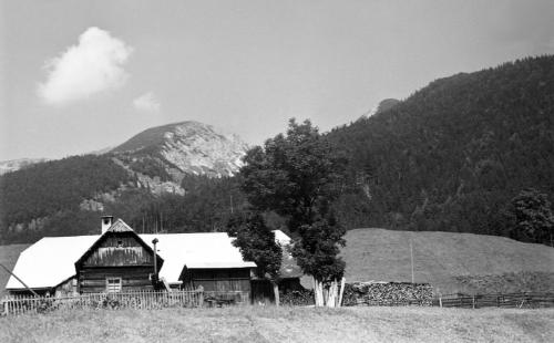 Landessammlungen Niederösterreich