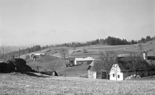 Landessammlungen Niederösterreich