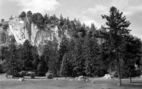 Landessammlungen Niederösterreich