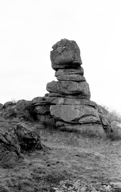 Landessammlungen Niederösterreich