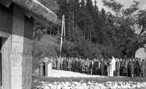 Landessammlungen Niederösterreich