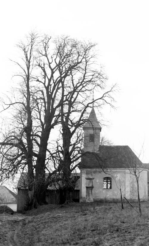 Landessammlungen Niederösterreich