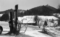 Landessammlungen Niederösterreich