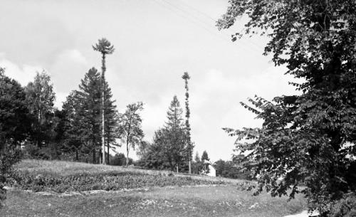 Landessammlungen Niederösterreich