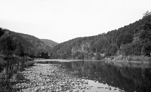 Landessammlungen Niederösterreich