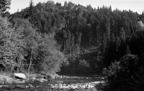 Landessammlungen Niederösterreich