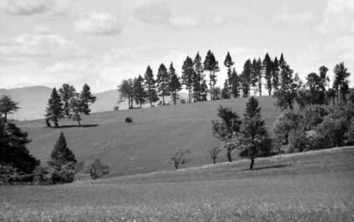 Landessammlungen Niederösterreich