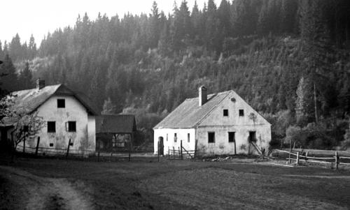 Landessammlungen Niederösterreich