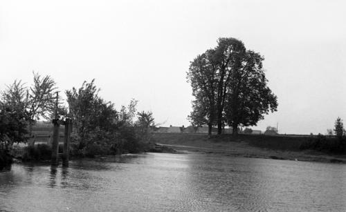 Landessammlungen Niederösterreich