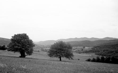 Landessammlungen Niederösterreich