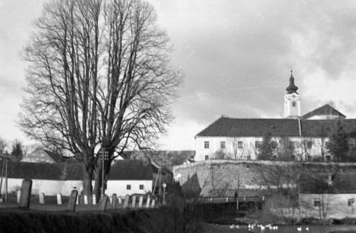 Landessammlungen Niederösterreich