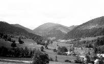 Landessammlungen Niederösterreich