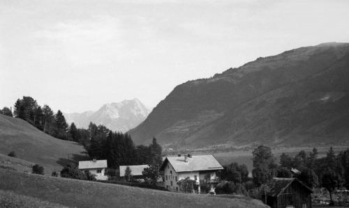 Landessammlungen Niederösterreich