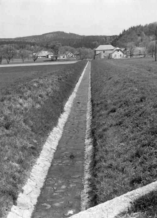 Landessammlungen Niederösterreich