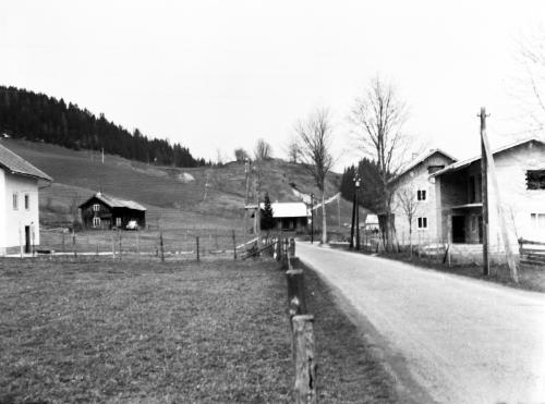 Landessammlungen Niederösterreich