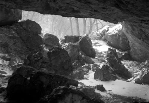 Landessammlungen Niederösterreich