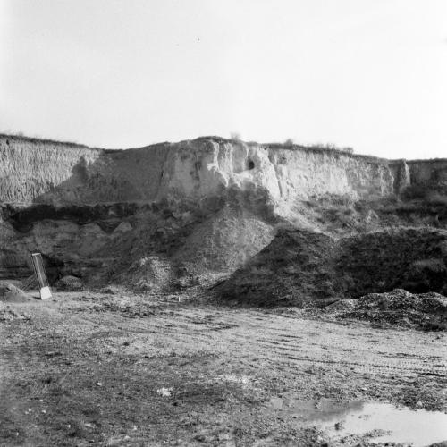 Landessammlungen Niederösterreich