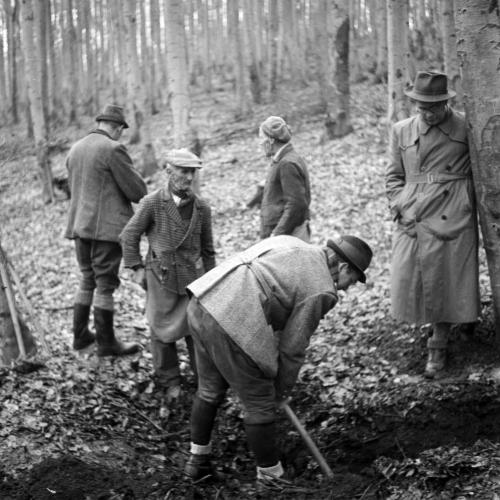 Landessammlungen Niederösterreich