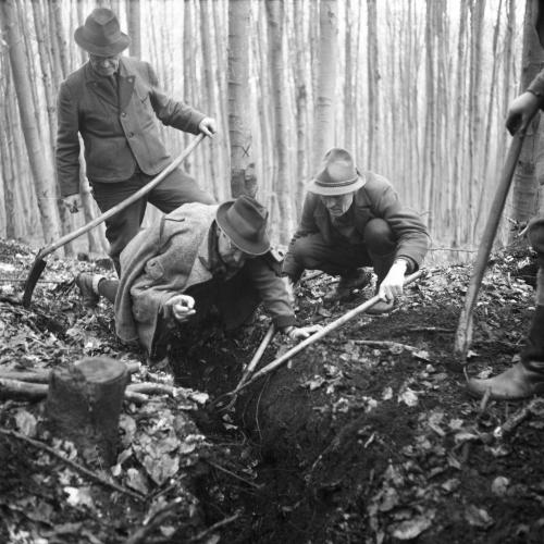 Landessammlungen Niederösterreich