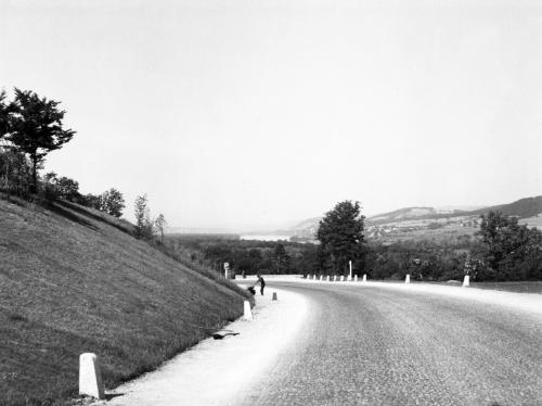 Landessammlungen Niederösterreich