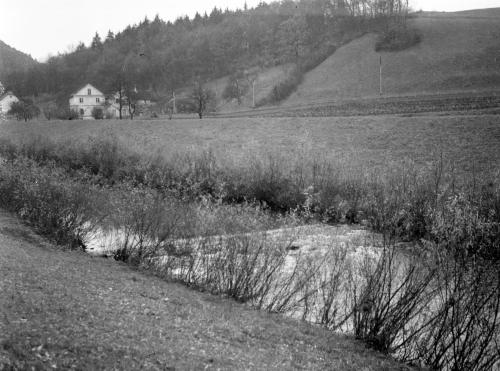 Landessammlungen Niederösterreich