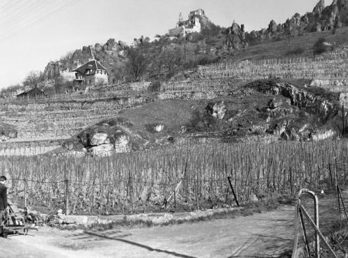 Landessammlungen Niederösterreich