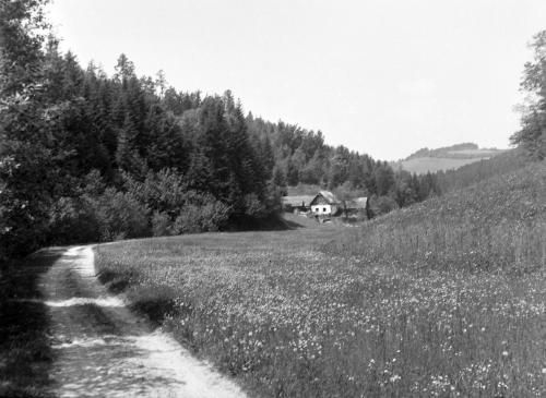 Landessammlungen Niederösterreich