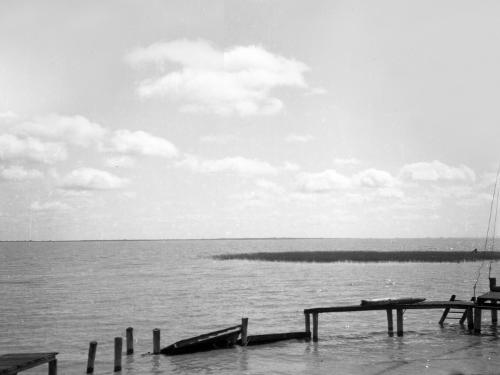 Landessammlungen Niederösterreich