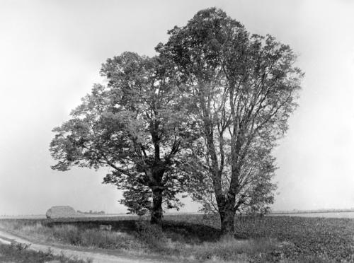 Landessammlungen Niederösterreich