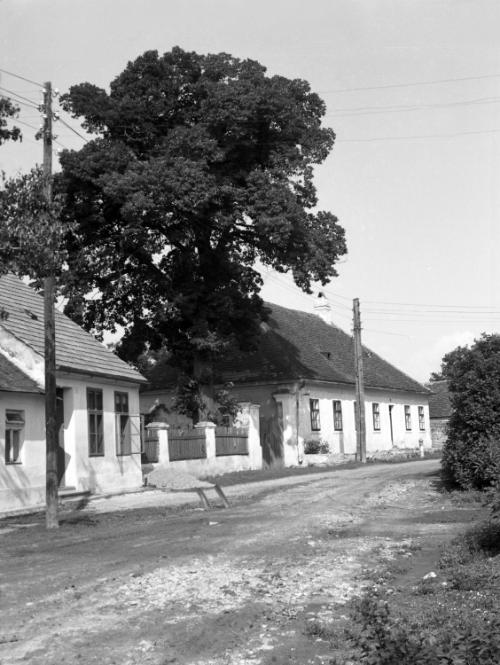 Landessammlungen Niederösterreich