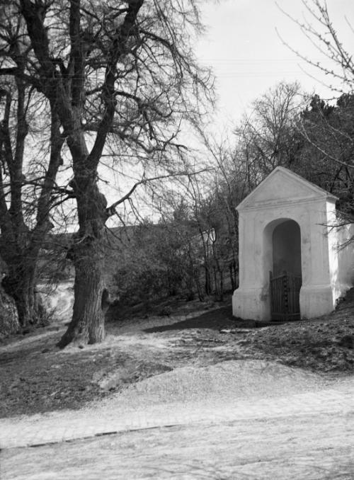 Landessammlungen Niederösterreich